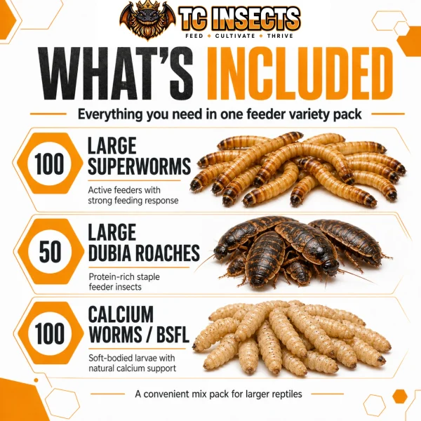 BIG Mix Pack: Large Reptile Feeder Mix Pack