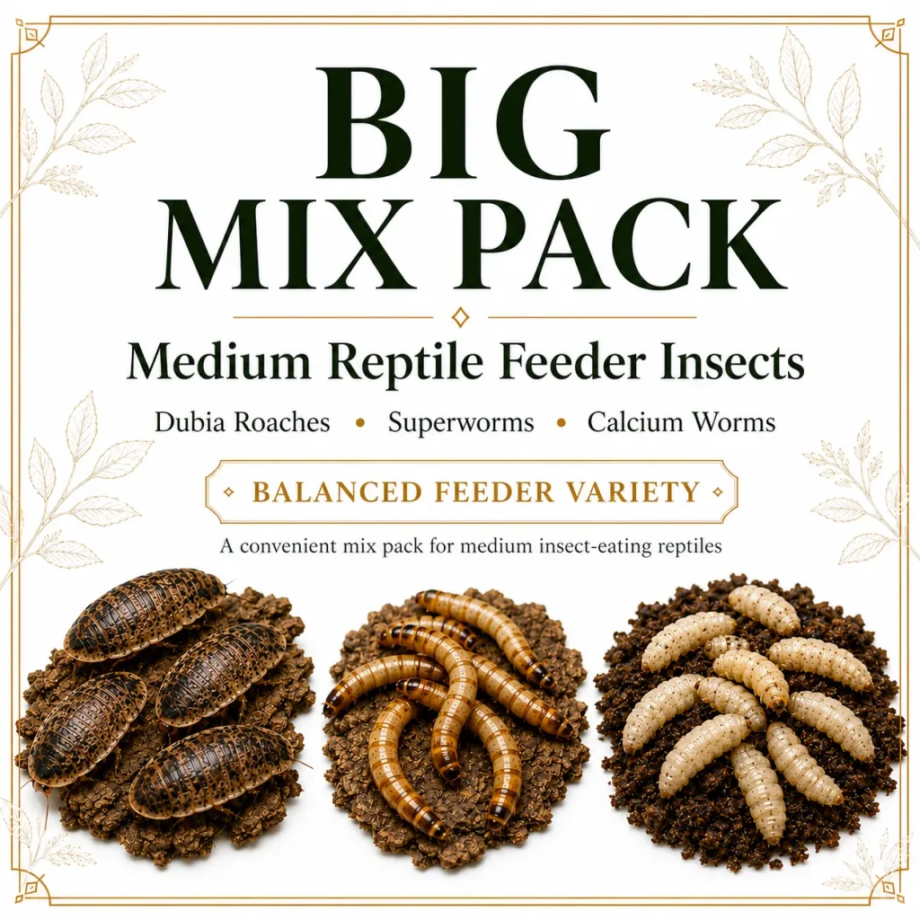 This Medium Reptile Feeder Mix Pack gives keepers a convenient way to offer more feeder variety in one order. It combines Medium Dubia Roaches, Superworms, and Calcium Worms in one practical live feeder insect bundle for medium-sized insect-eating reptiles and amphibians.