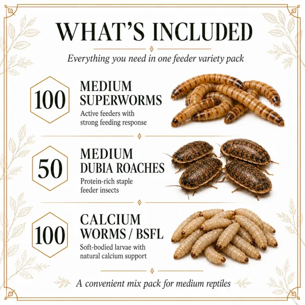 BIG Mix Pack: Medium Reptile Feeder Mix Pack
