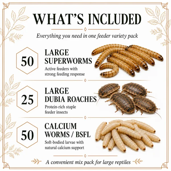 Small Mix Pack: Large Size Insects