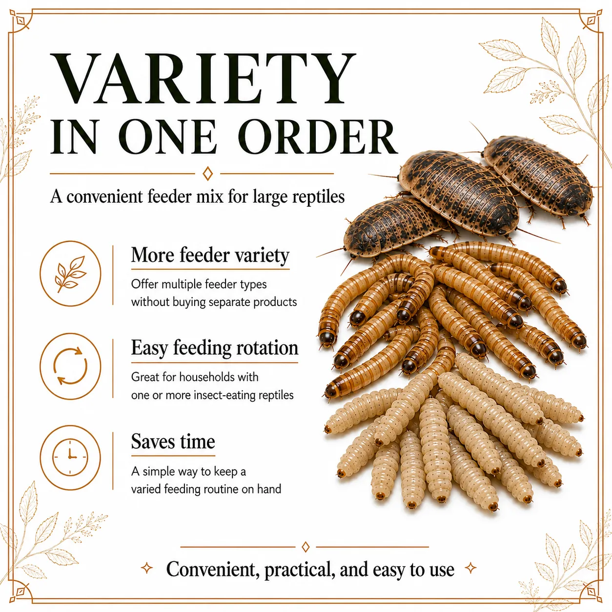 Small Mix Pack with Large Dubia, Superworms, and BSFL