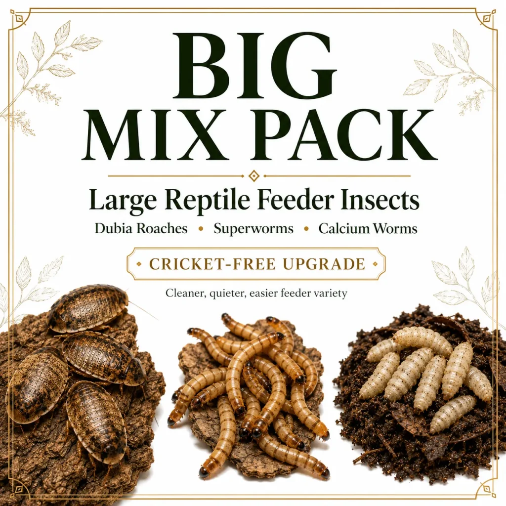 Big Mix Pack Feeder Insects for reptiles