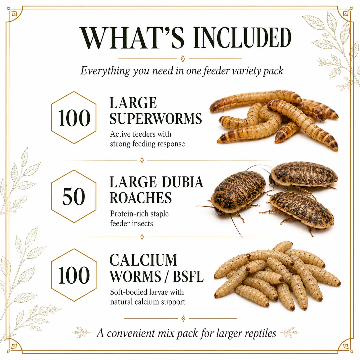 BIG Mix Pack: Large Reptile Feeder Mix Pack - Image 2