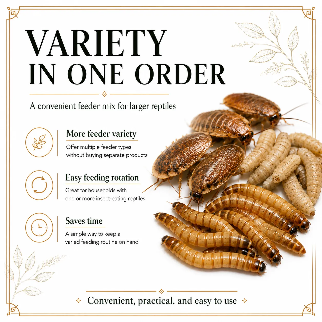 BIG Mix Pack: Large Reptile Feeder Mix Pack - Image 4