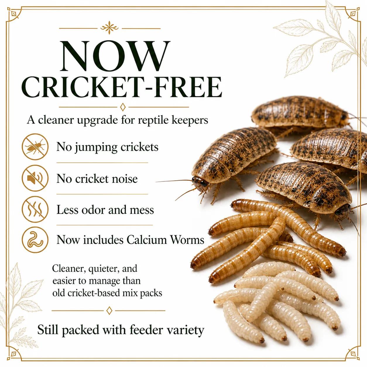 BIG Mix Pack: Large Reptile Feeder Mix Pack - Image 5