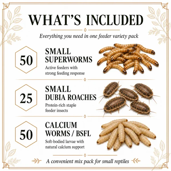 Small Mix Pack: Small Reptile Feeder