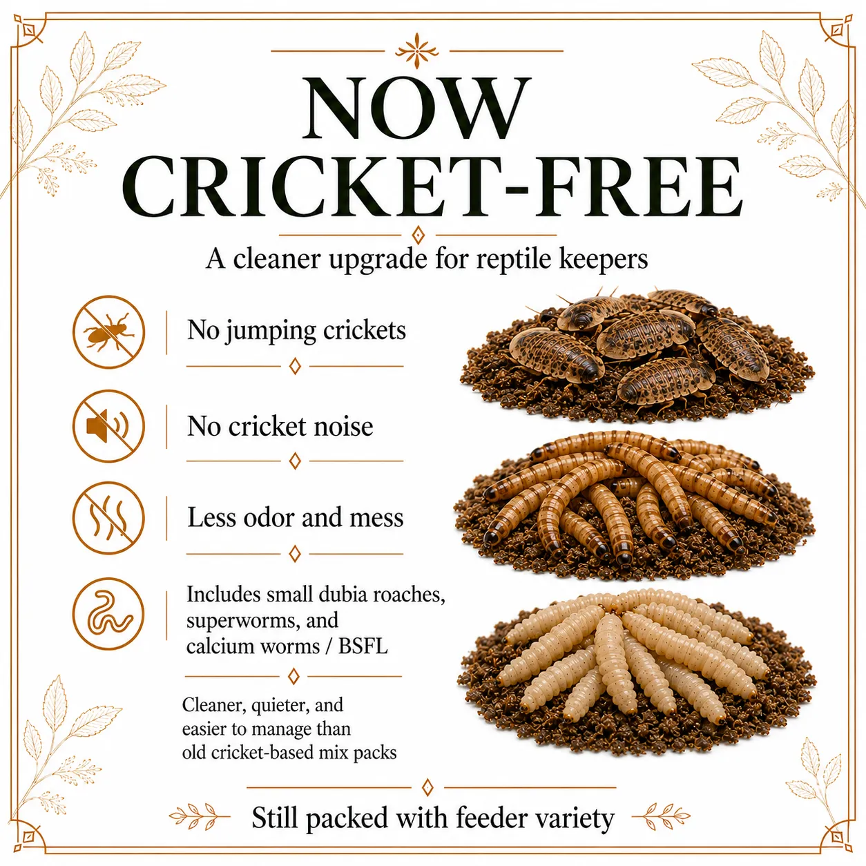 Small Dubia roaches, superworms, and calcium worms in a feeder mix pack