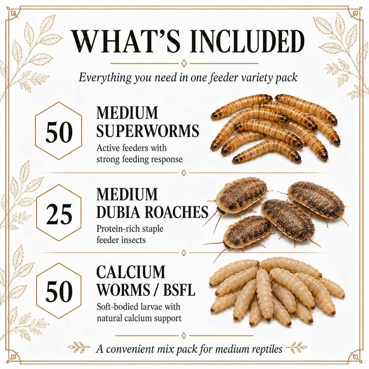 Small Mix Pack with Medium Dubia, Superworms, and BSFL