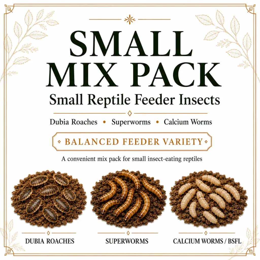 Small Dubia roaches, superworms, and calcium worms in a feeder mix pack