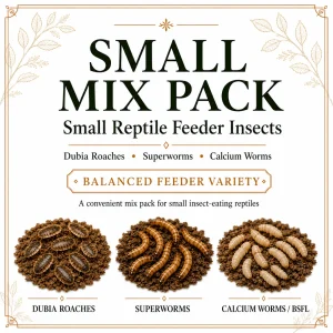 Small Dubia roaches, superworms, and calcium worms in a feeder mix pack