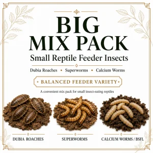 Small Dubia roaches, crickets, and superworms in a reptile feeder mix pack