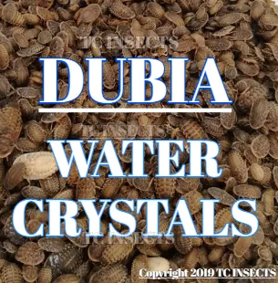 Dubia Water Crystal 8oz (makes 5 Gallons)