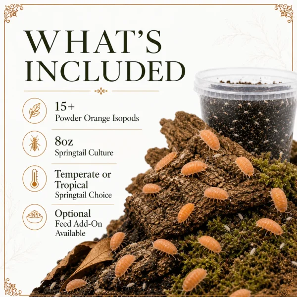 15 Powder Orange Isopods & 8oz Springtail Culture