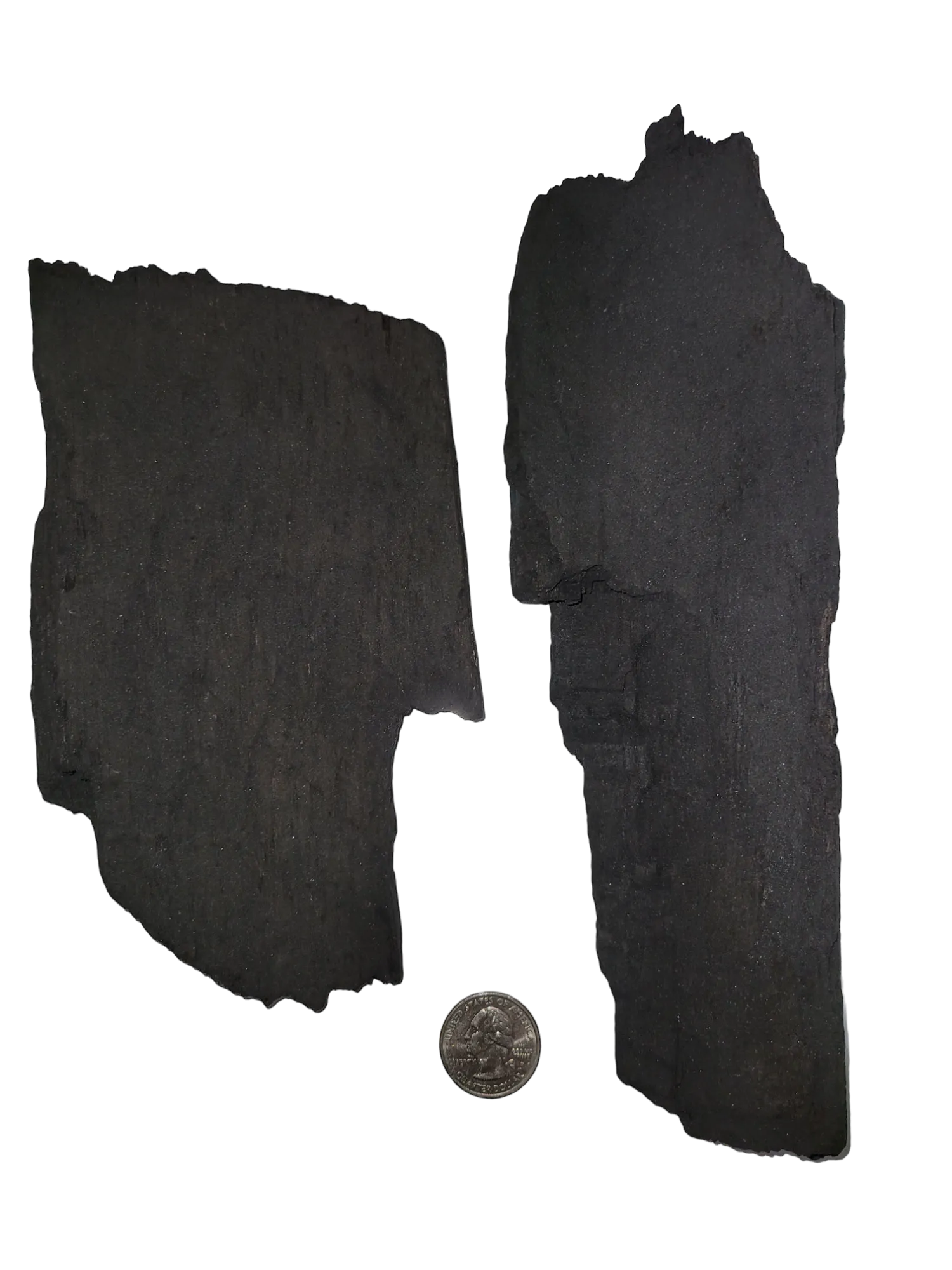 ISO-COAL | Isopod Charcoal Hides - Image 3