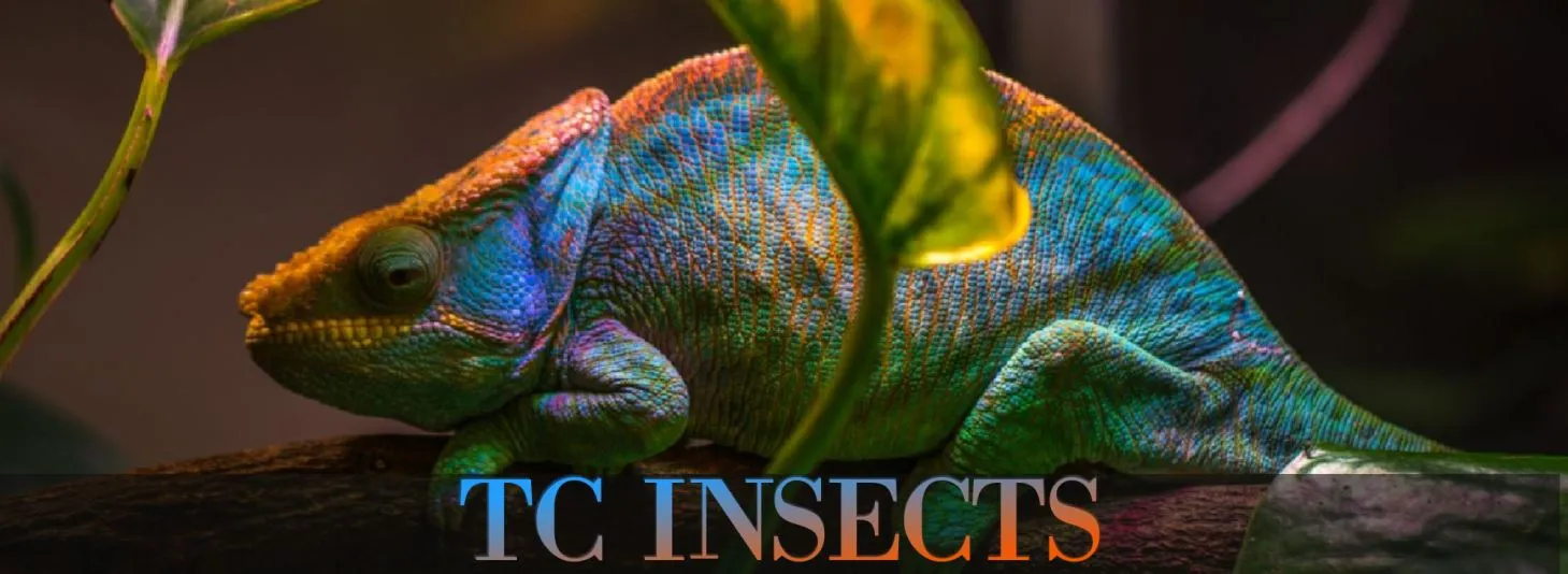 TC-INSECTS-FB-LOGO TC INSECTS