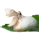 Silkworm Care Sheet