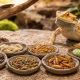 Feeder Insect Variety: Why Reptiles Need More Than One Bug