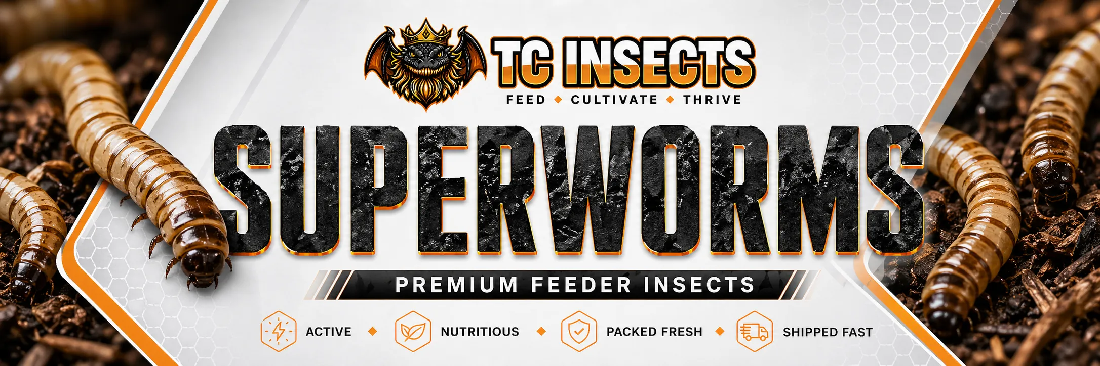 Superworm Banner
