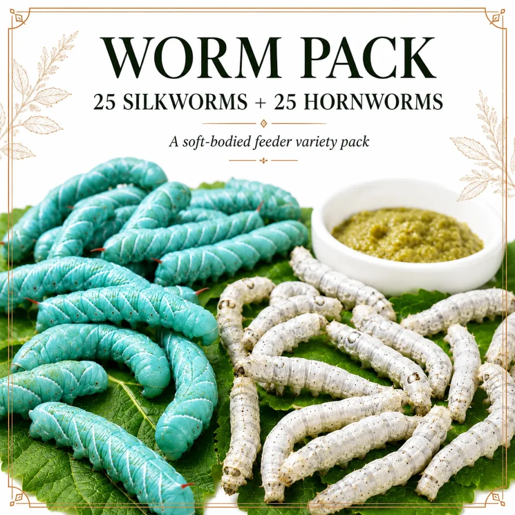 WORM PACK | 25ct Silkworms | 25ct Hornworms