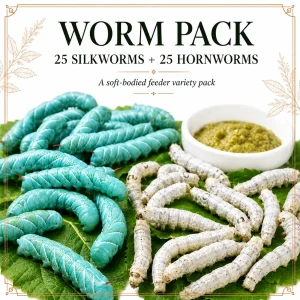 WORM PACK | 25ct Silkworms | 25ct Hornworms