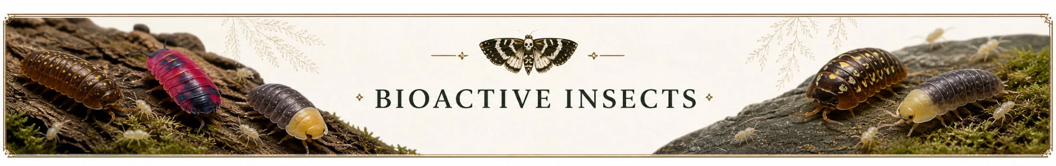 Bioactive insects banner featuring isopods, springtails, and cleanup crew species for natural terrarium setups.