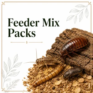 Feeder Insect Mix Packs