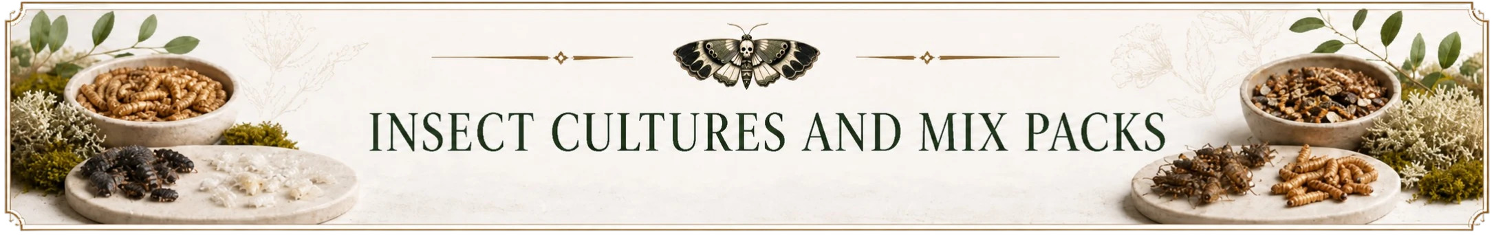 Insect cultures and mix packs banner featuring live feeder insects and starter culture options from TC Insects.
