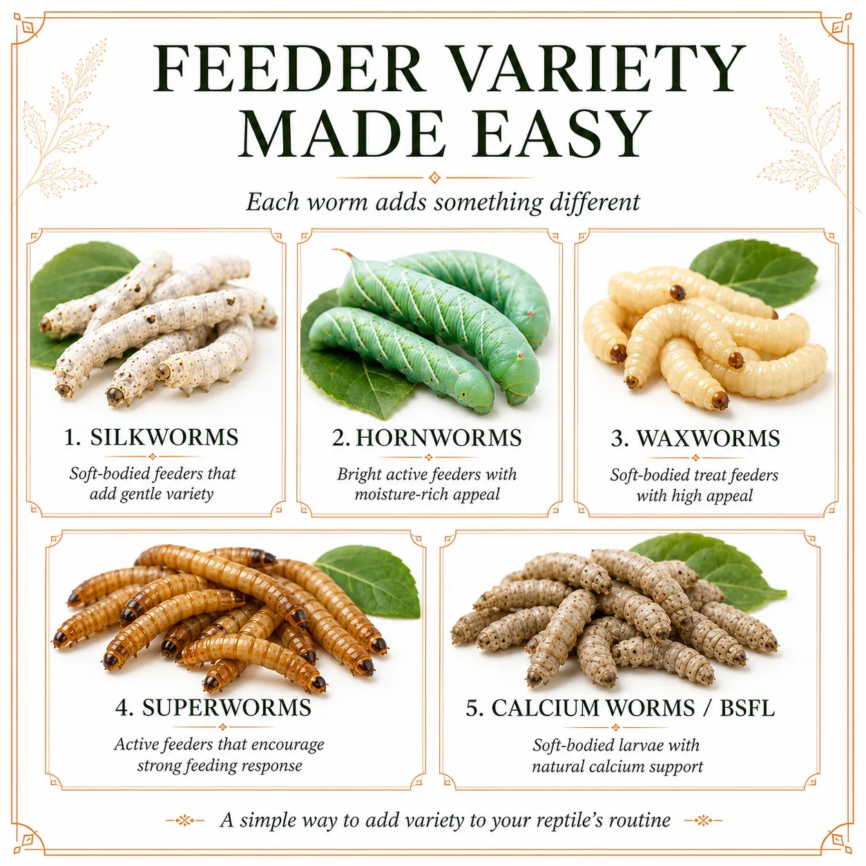 SUPER WORMY SAMPLER | 5 Types of Worms | 125ct Total - Image 7