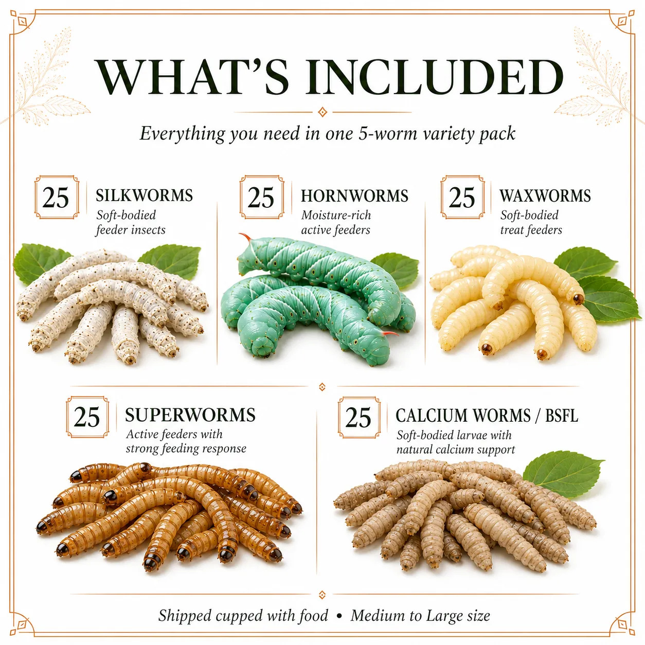 SUPER WORMY SAMPLER | 5 Types of Worms | 125ct Total - Image 3