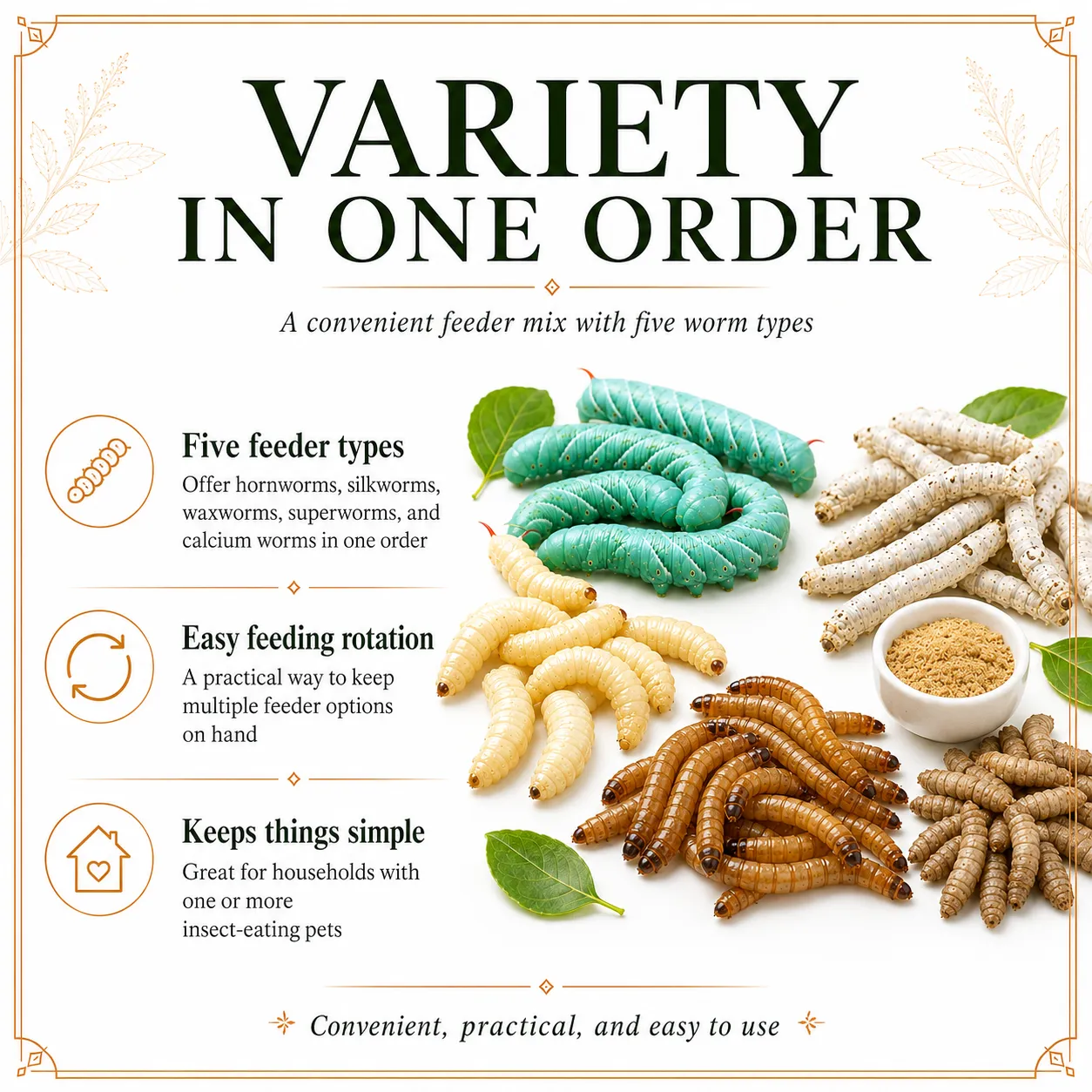SUPER WORMY SAMPLER | 5 Types of Worms | 125ct Total - Image 5