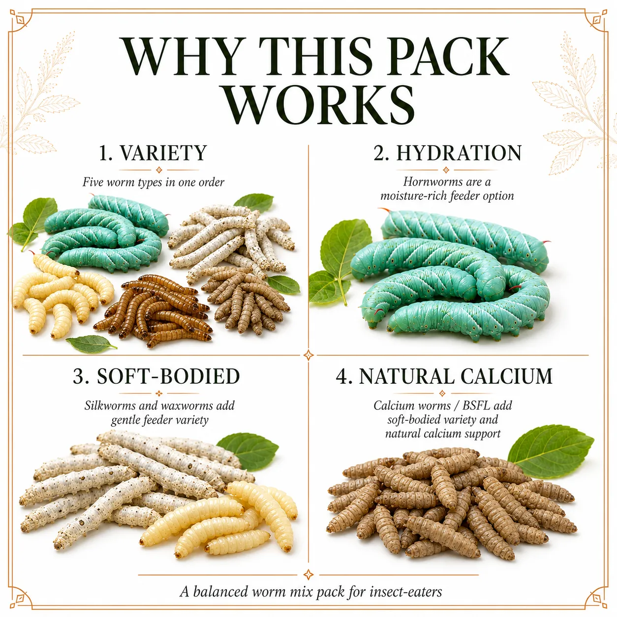 SUPER WORMY SAMPLER | 5 Types of Worms | 125ct Total - Image 4