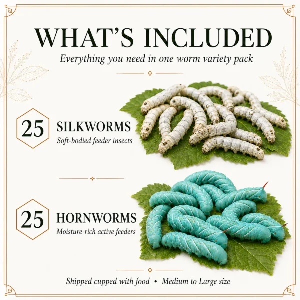 WORM PACK | 25ct Silkworms | 25ct Hornworms