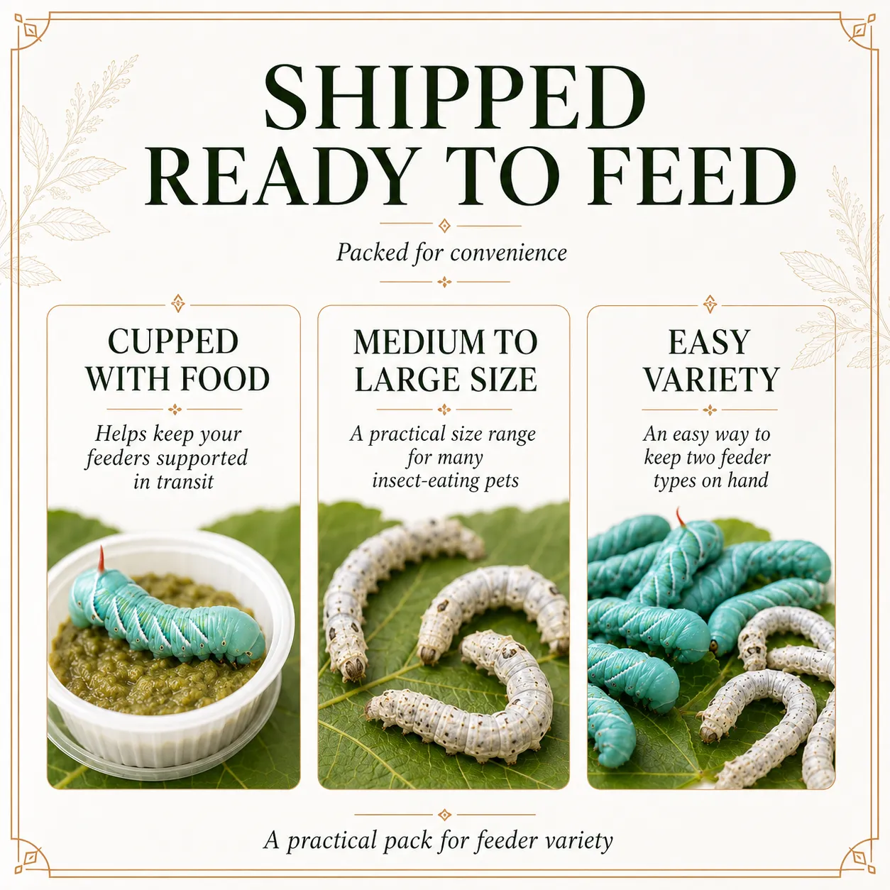 WORM PACK | 12ct Silkworms | 12ct Hornworms - Image 7