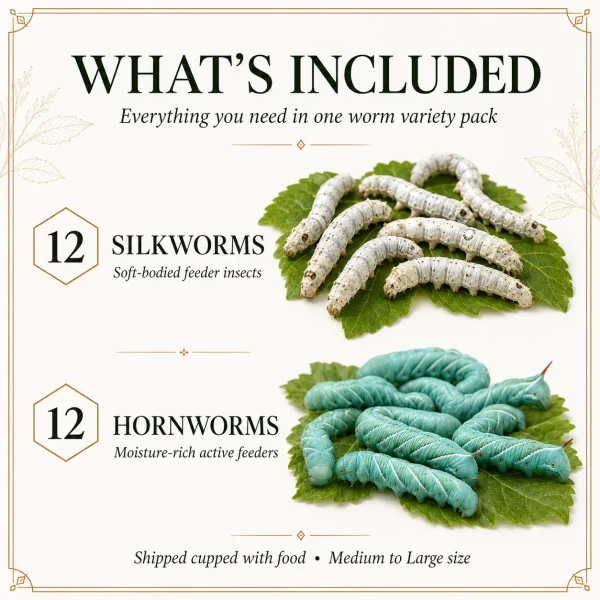 WORM PACK | 12ct Silkworms | 12ct Hornworms