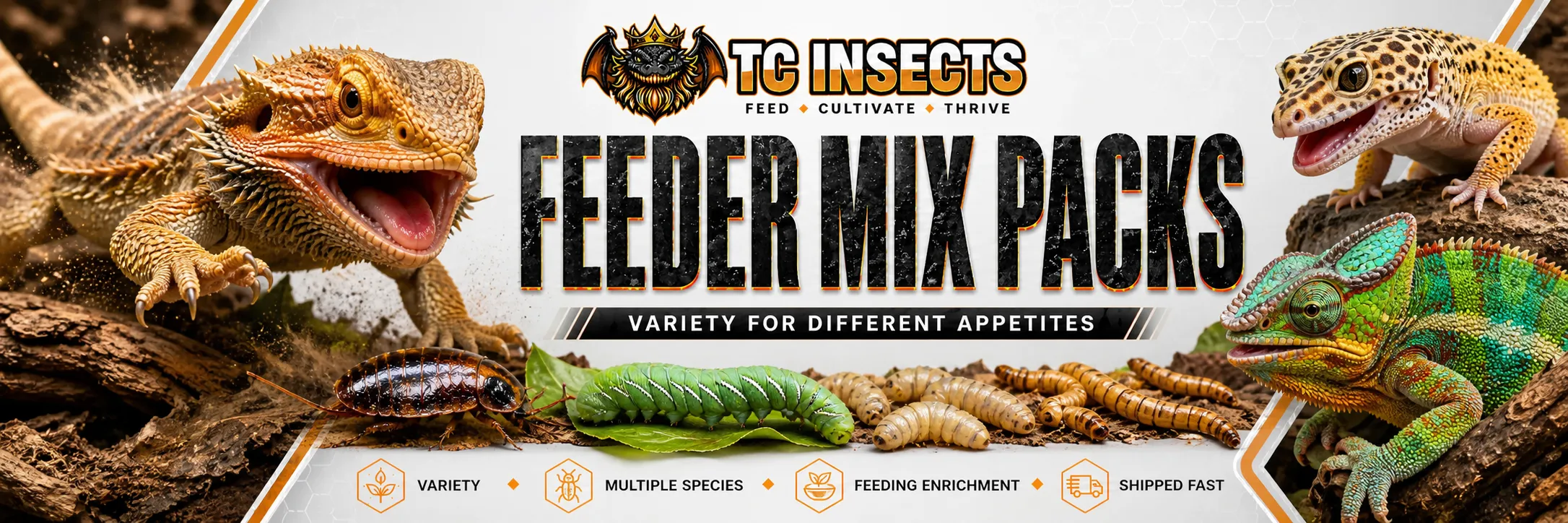 Feeder mix packs from TC INSECTS with assorted live feeder insects for reptiles