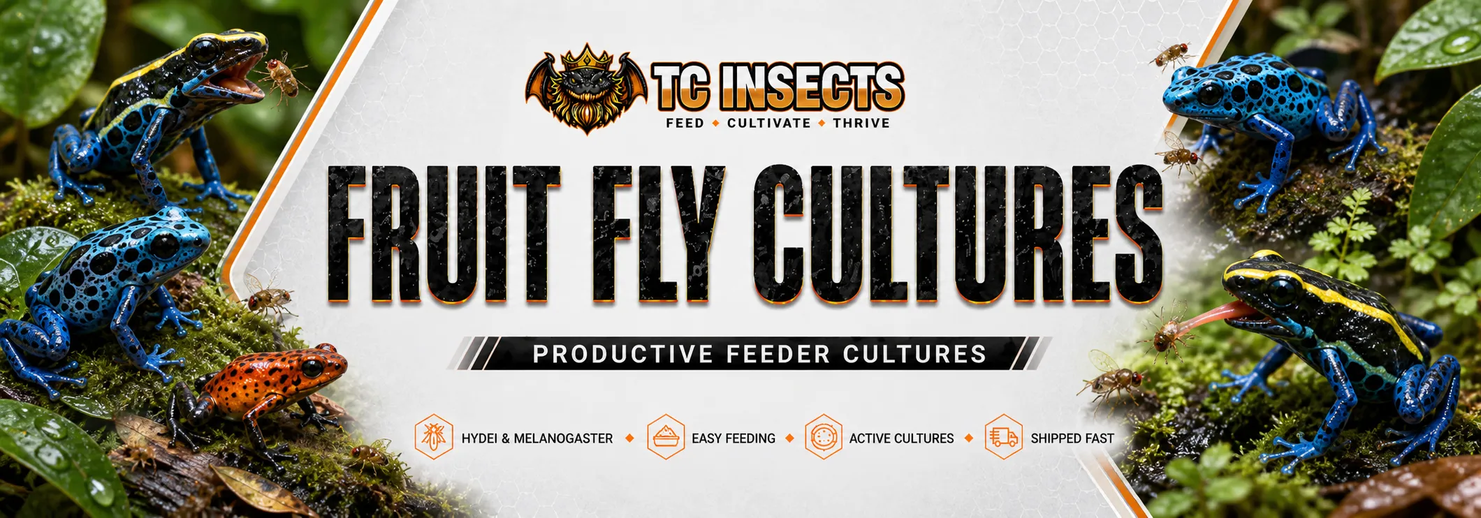 Live waxworms from TC INSECTS in a reptile feeder banner with a Pacman frog hunting waxworms